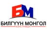 Билгүүн Монгол Констракшн