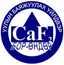 Бор-Өндөр Уулын баяжуулах үйлдвэр