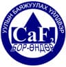 Бор-Өндөр Уулын баяжуулах үйлдвэр