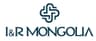 Ай энд эр монголиа ХХК