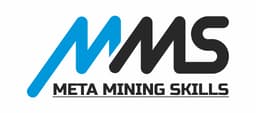  Мета Майнинг Скиллс ХХК