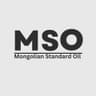MSO ХХК