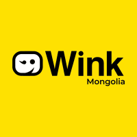 Wink Medical LLC