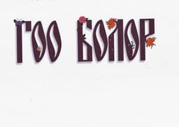 ГОО БОЛОР ТӨВ