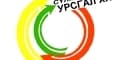 Сүлжээний урсгал ХХК